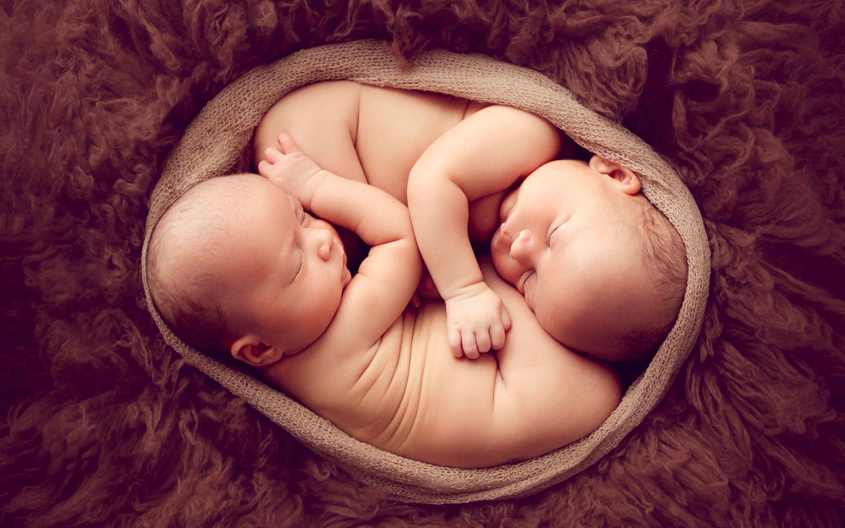Wallpaper Newborn babies, Twins, HD, Cute / Editor's Picks