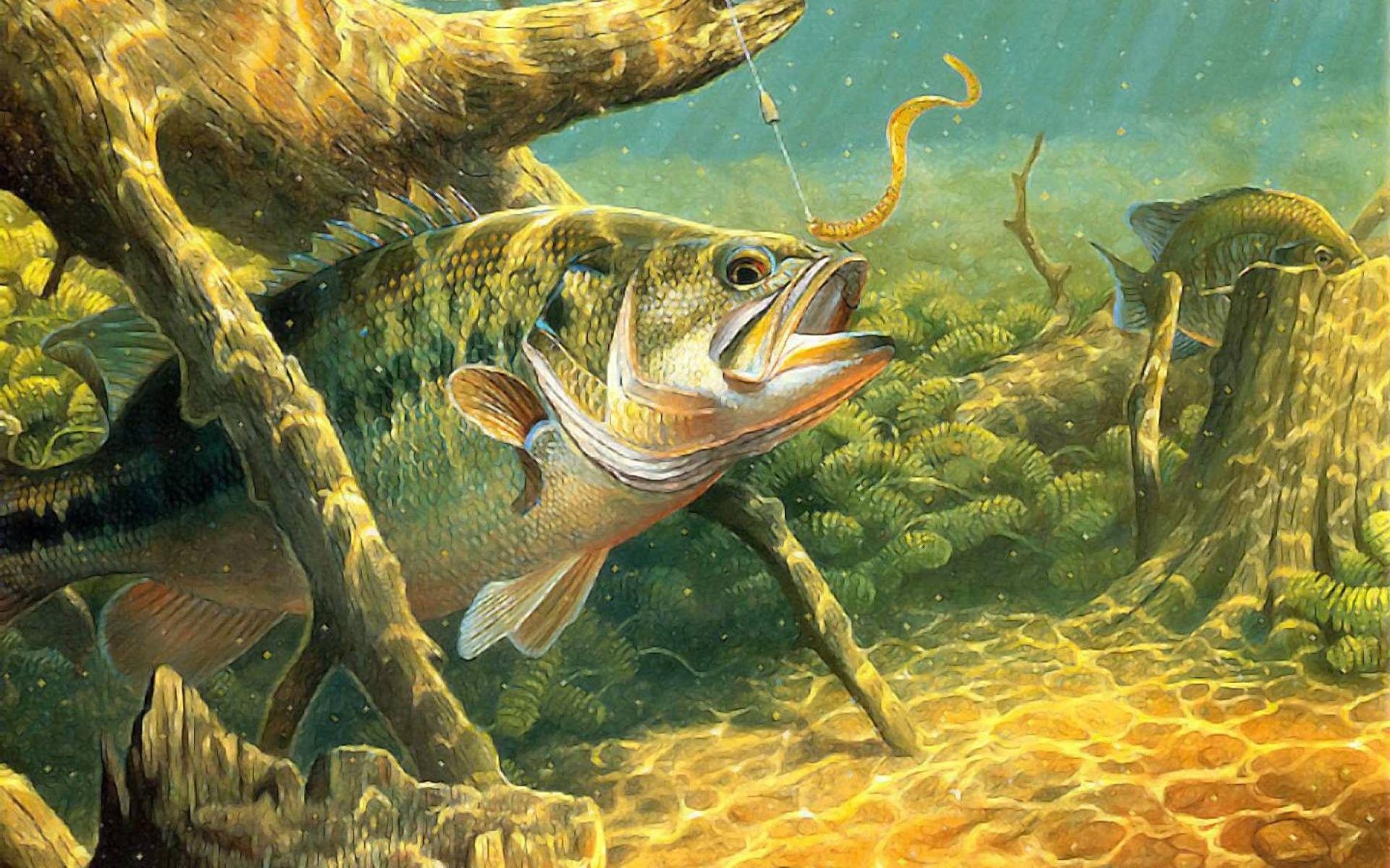 Fishes: Lake Artwork Sport River Underwater Fishing Bass Water Fish