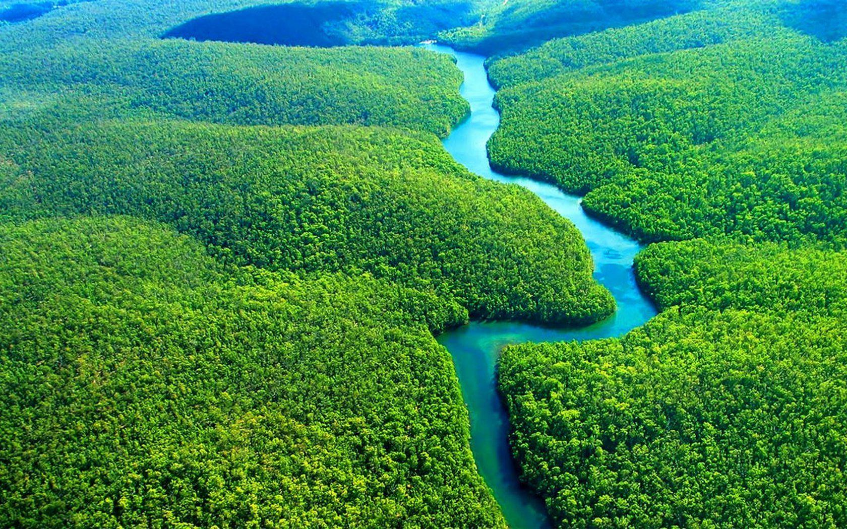 Amazon Rainforest Wallpaper Wide #uyg. Earth in 2019