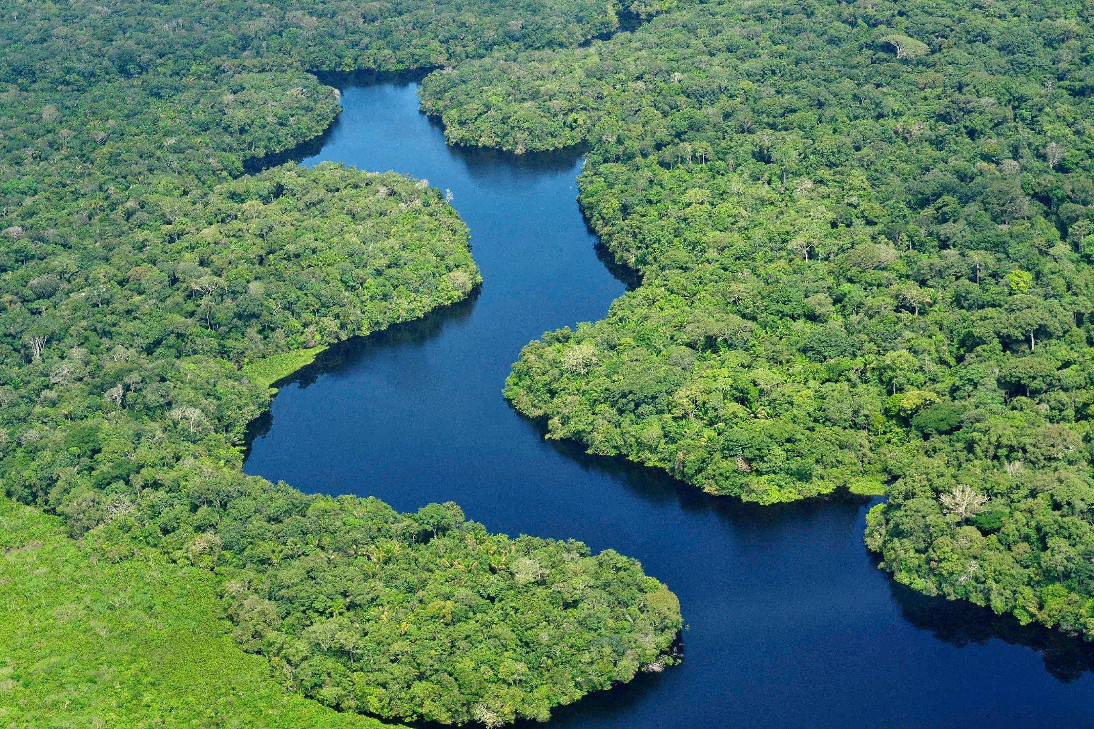 Rivers: Amazon River Nature Brazil Forest Wallpaper Of Beautiful