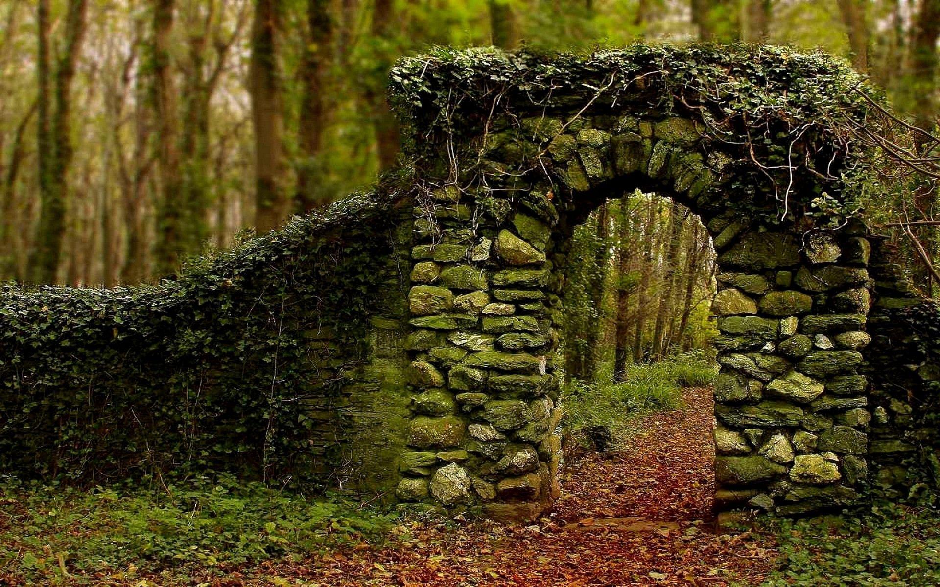 Forests Quaint Archway Stone Old Woods Arches Beautiful Amazon