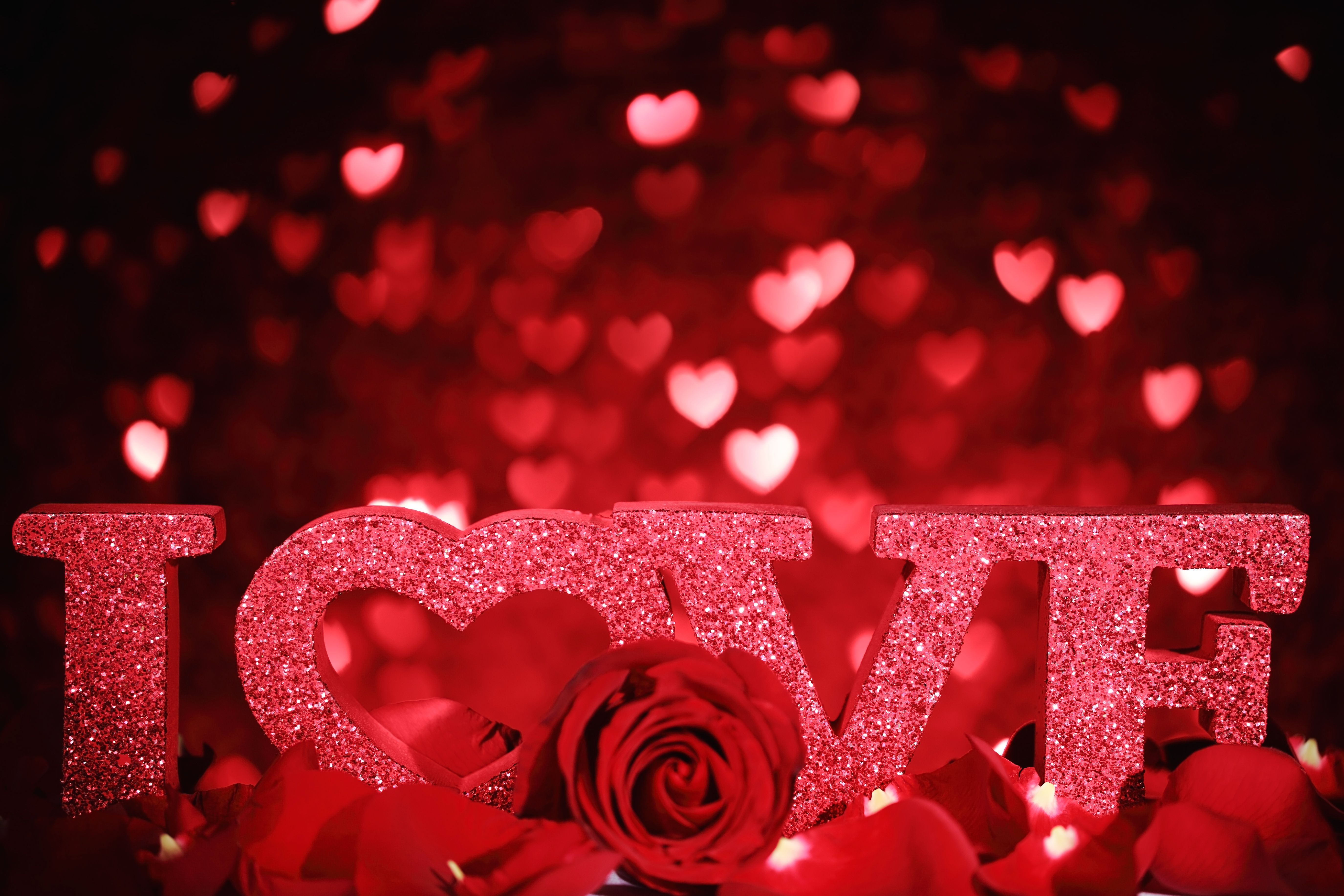 Red and Black Love Background with Rose​-Quality Free Image and Transparent PNG Clipart
