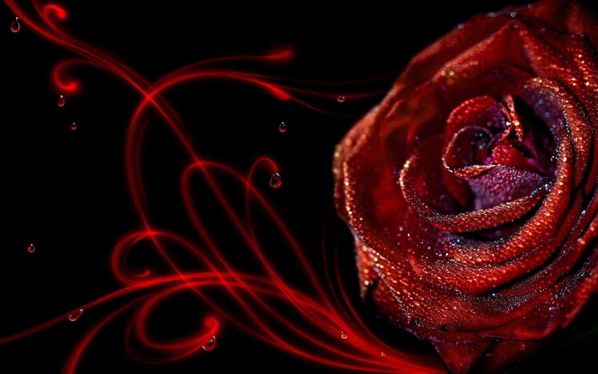 Wallpaper HD 3D Flower Rose
