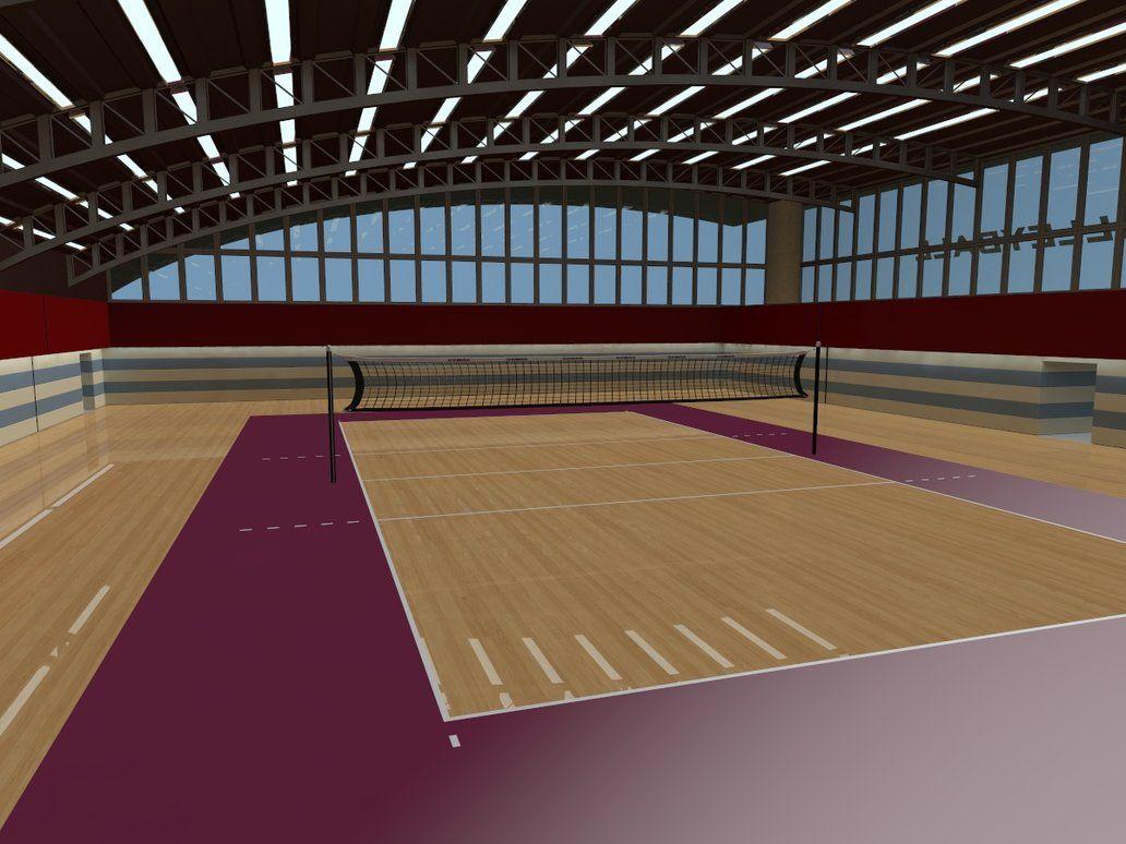 cartoon volleyball court