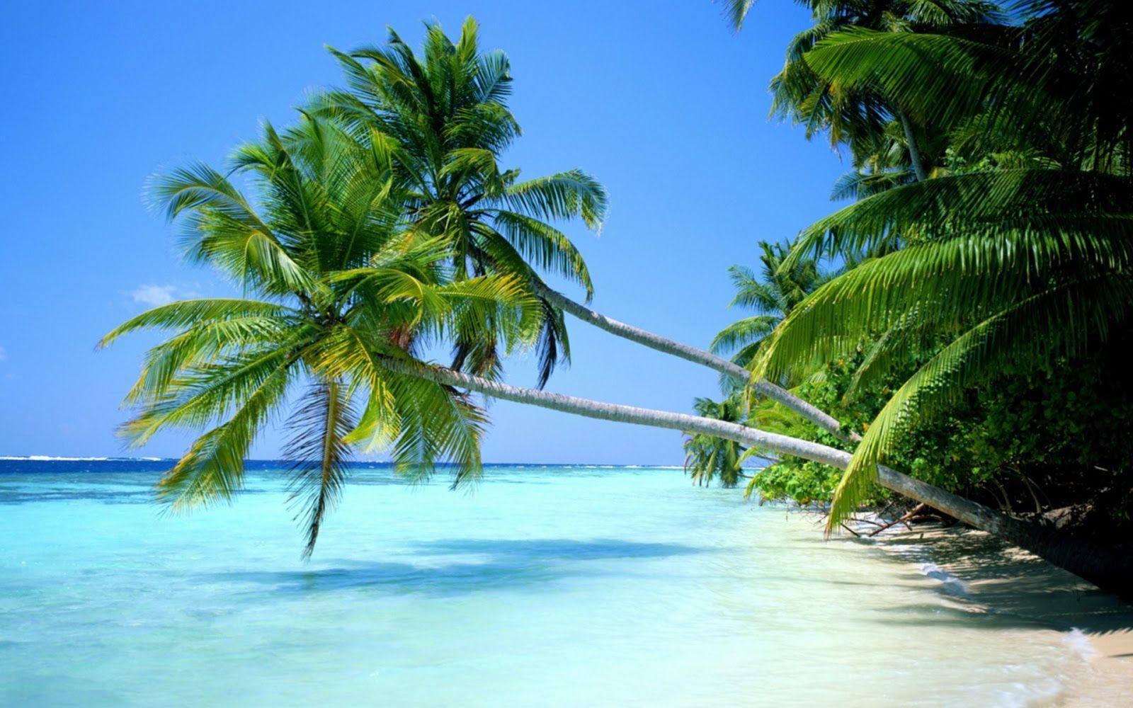 image Of Nature For Pc