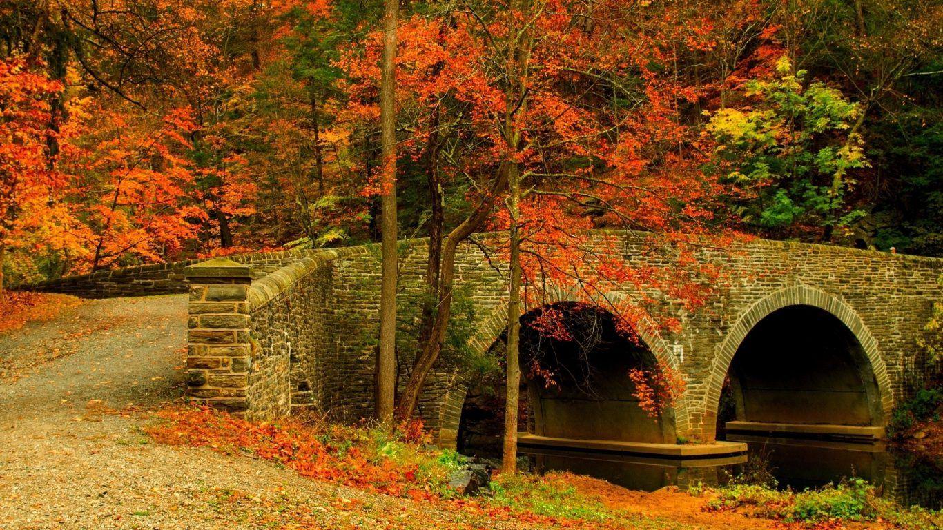 Rivers: Reflection Night Moon River Blue Sky Trees Wallpaper Desktop