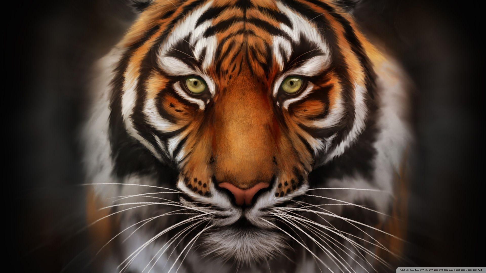 Save The Tiger ❤ 4K HD Desktop Wallpaper For 4K Ultra HD TV • Wide