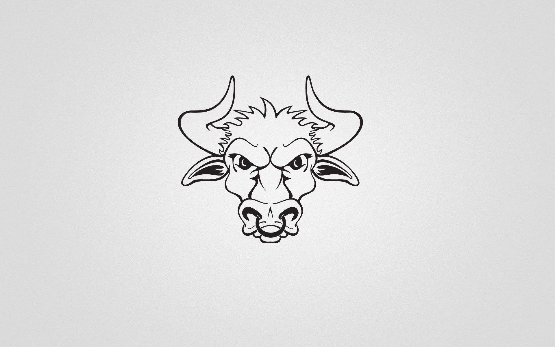 Wide HD Bull Wallpaper. FLGX HD.52 KB