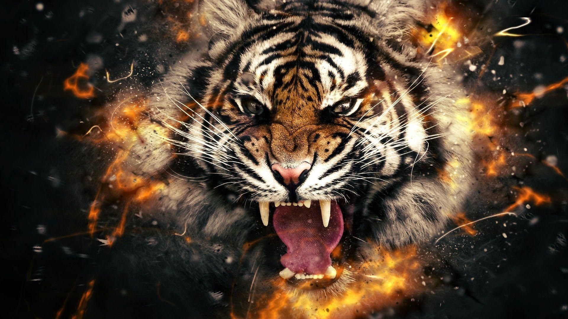 Tiger Face Paint 4K Wallpaper. HD Desktop Background