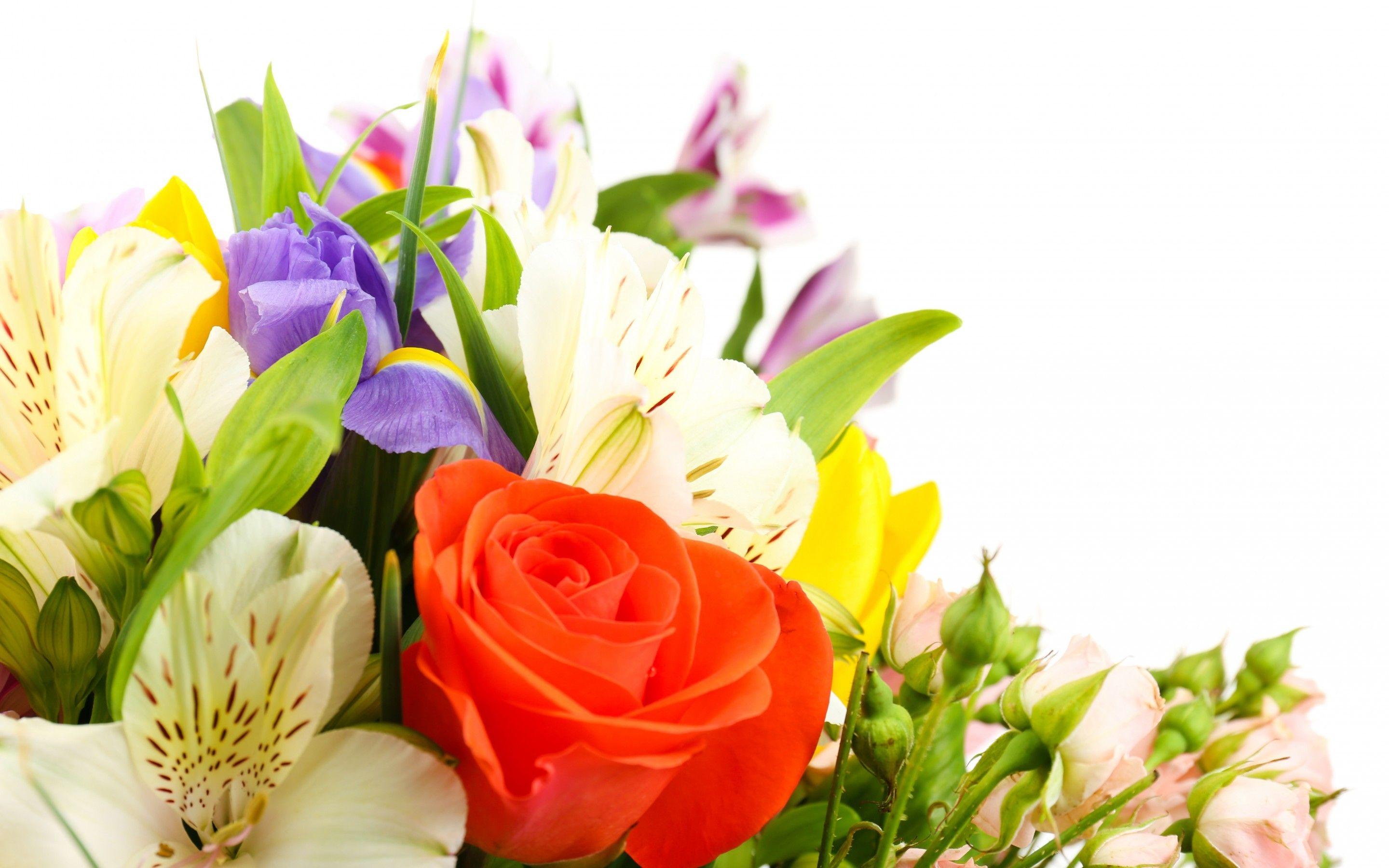 Flowers: Flowers Beautiful Bouquet Love Lilies Nature Petals Flower