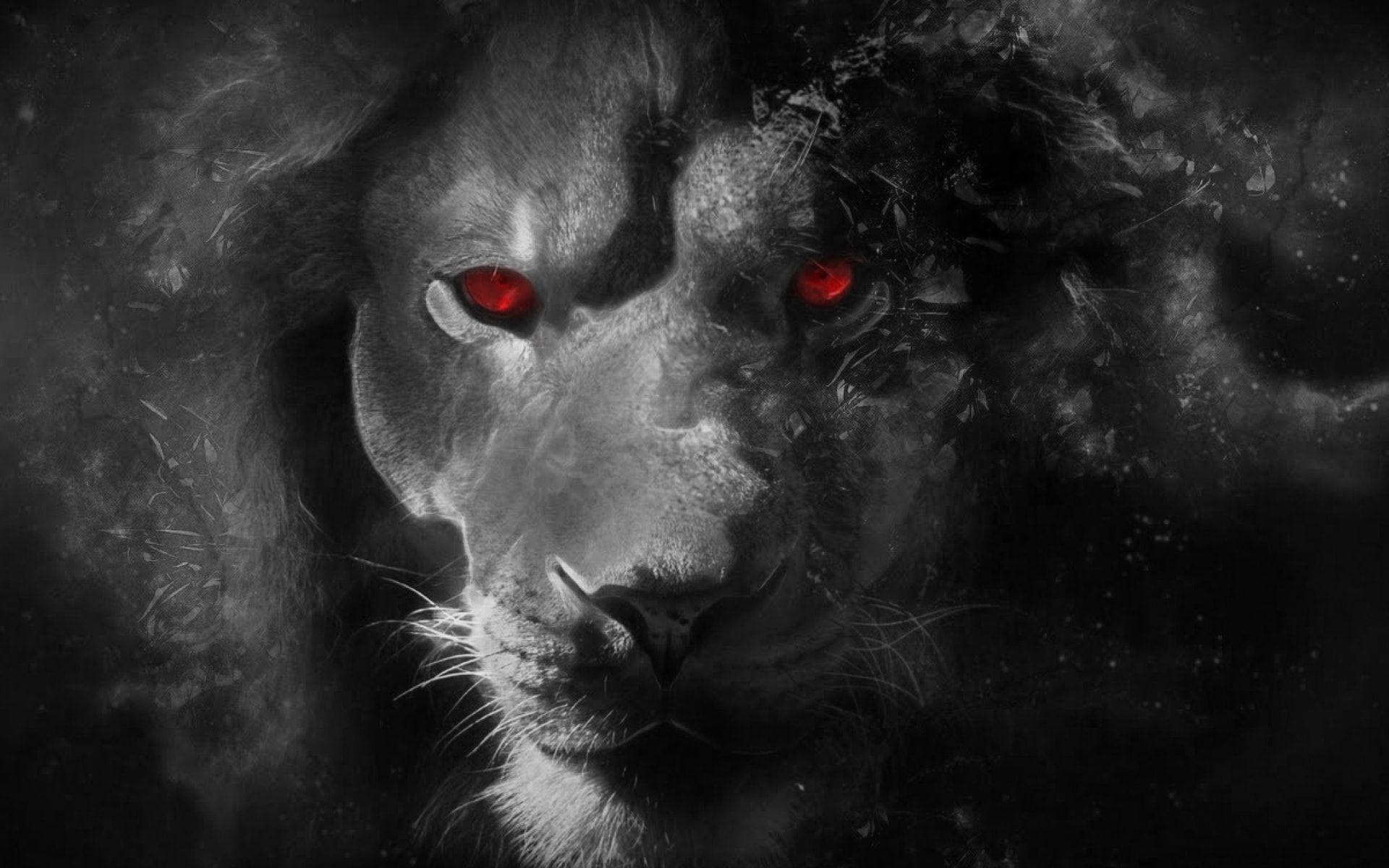 Monochrome Lion Red Eyes Artwork Wallpaper And Free Stock