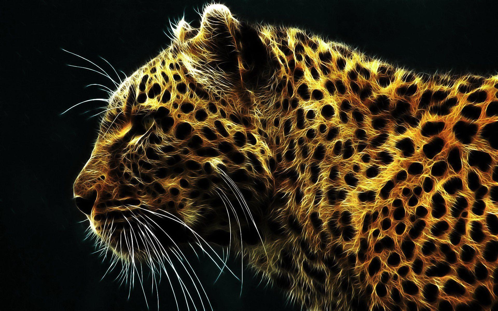 Leopard HD Wallpaper and Background Image