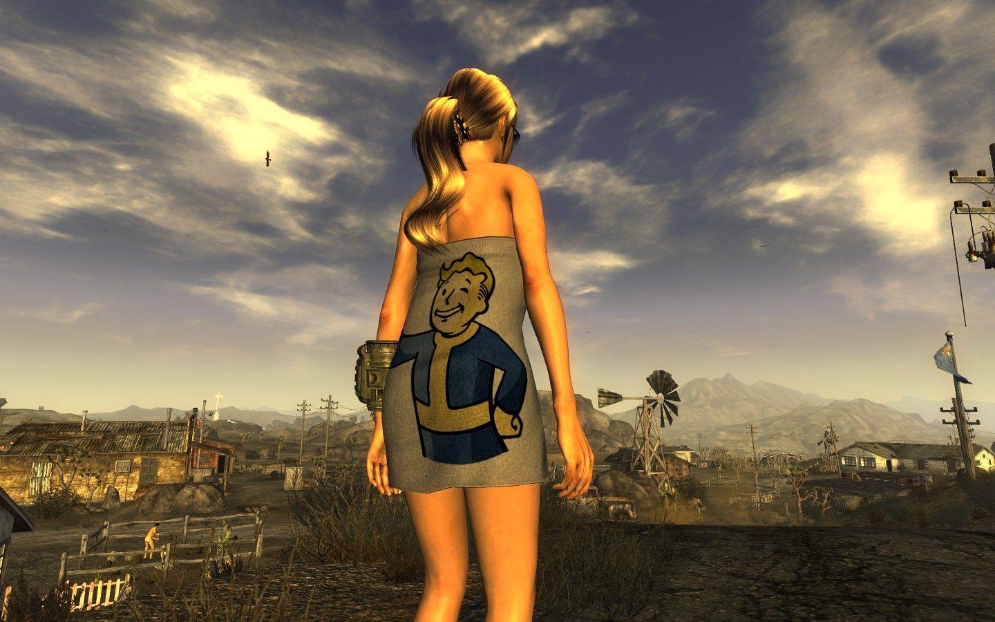 Fallout New Vegas and community