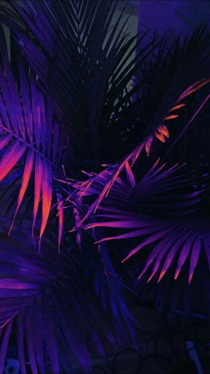 Tumblr Wallpapers Purple - Wallpaper Cave