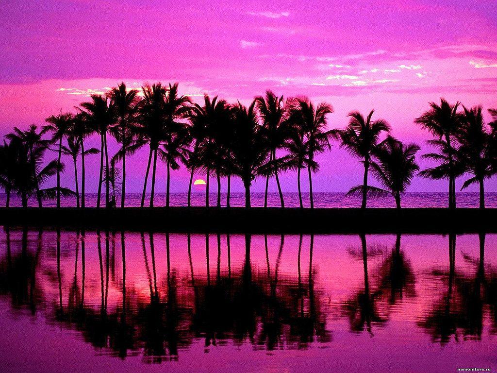 Purple Beach Sunset Tumblr Wallpaper Free Download