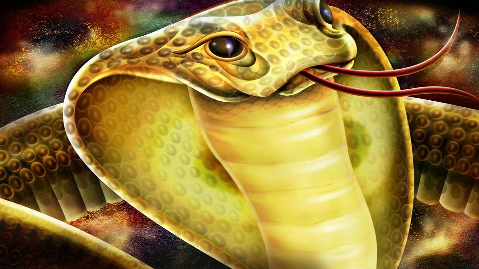 King Cobra HD Wallpaper. Download HD Wallpaper