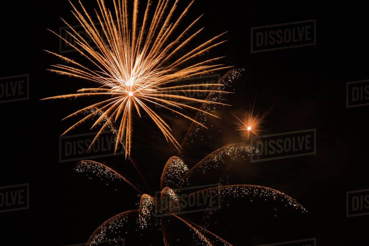 Gold and white fireworks against a black sky background at night