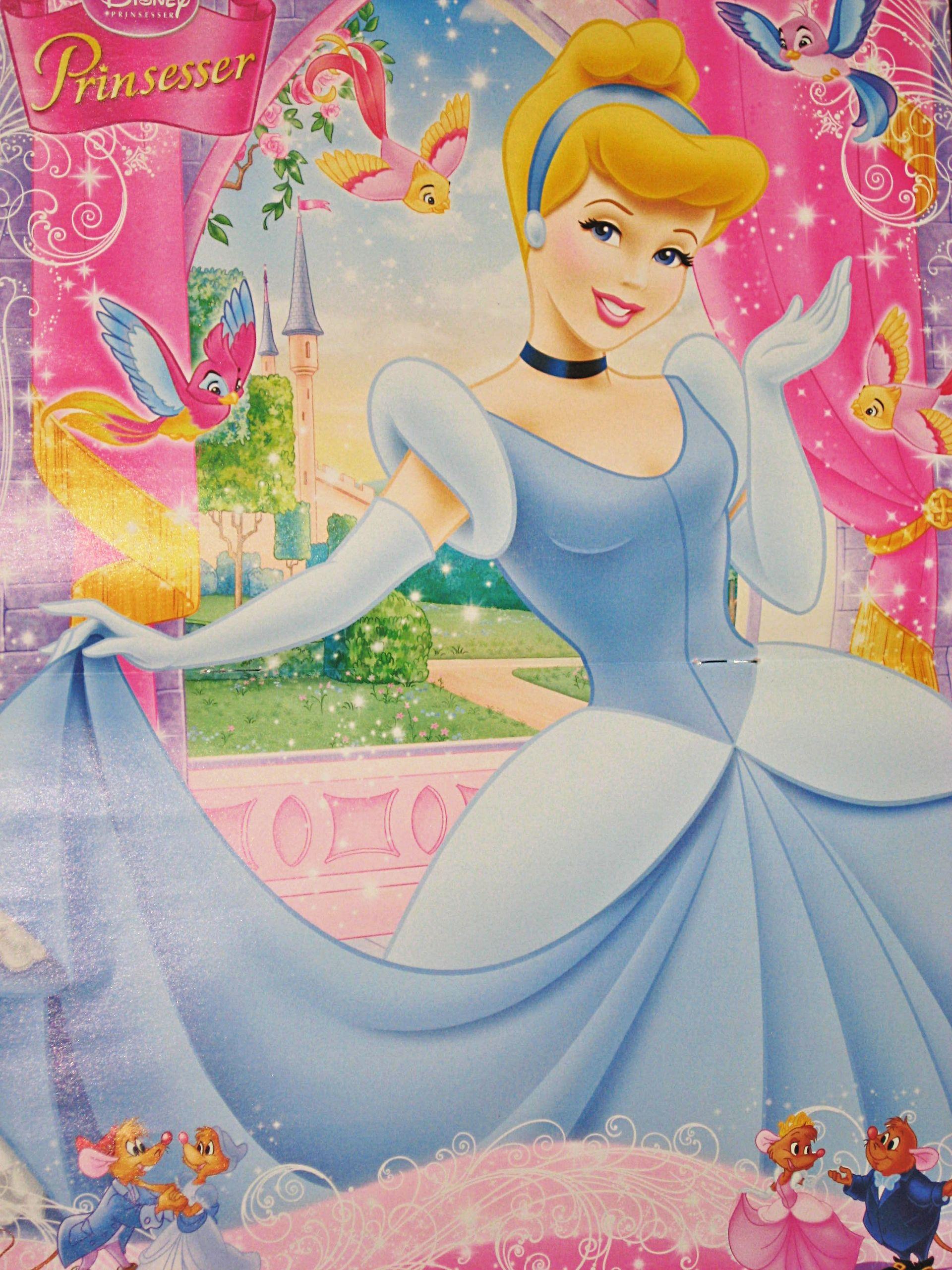 Disney Princess Cinderella Walt Disney Characters Cartoon Wallpaper
