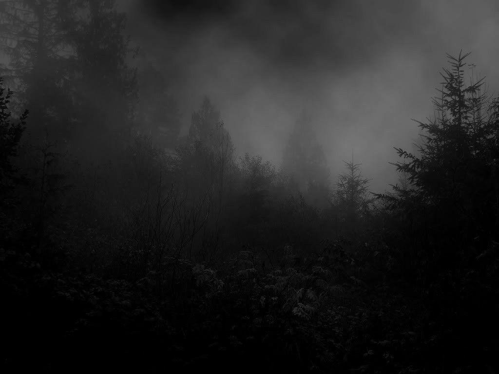 Forests: Depressive Forest Dark Grim Black Grey Free Wallpaper