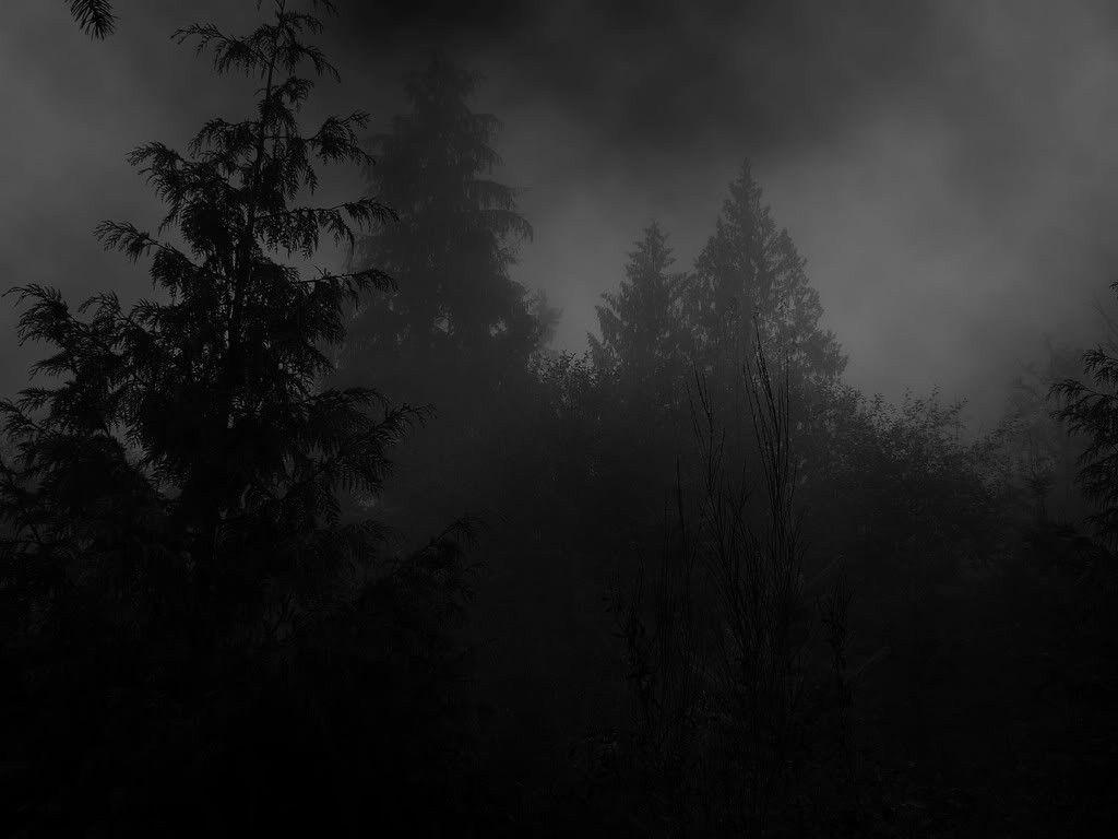 Forests: Depressive Forest Dark Grim Black Grey Desktop Wallpaper