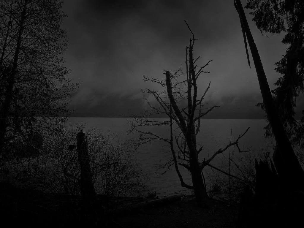 Lakes: Lakeside Depression Sorrow Water Dark Black Trees Depressive