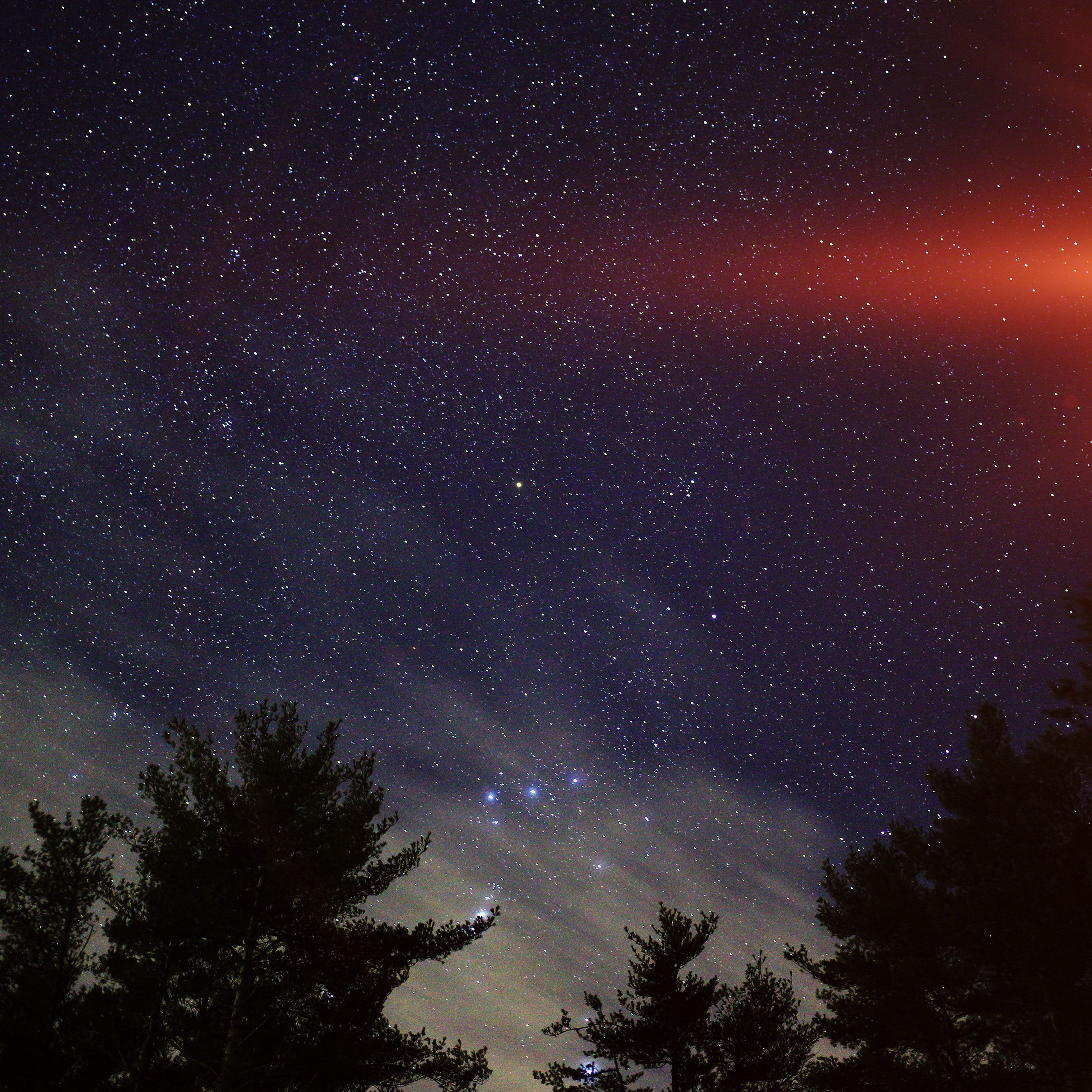 Night Sky Star Wood Space Starry Blue Dark Flare Wallpaper