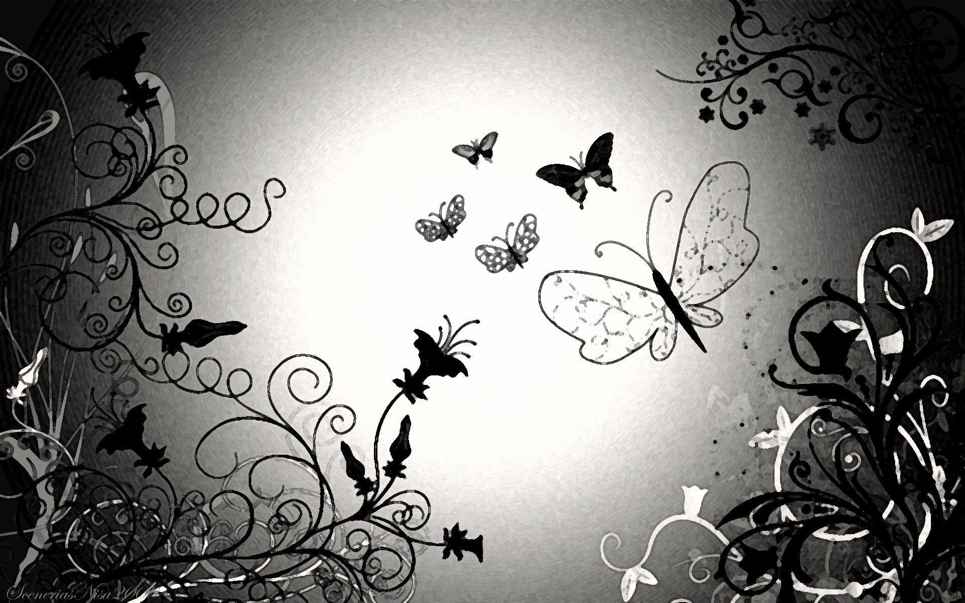 Black And White Butterfly Wallpaper HD