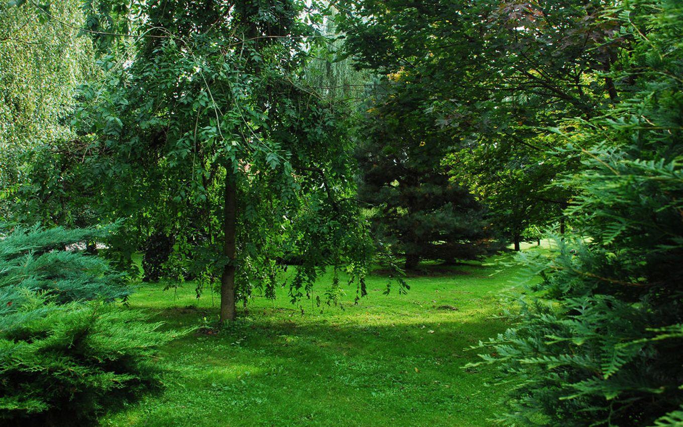 nature background free