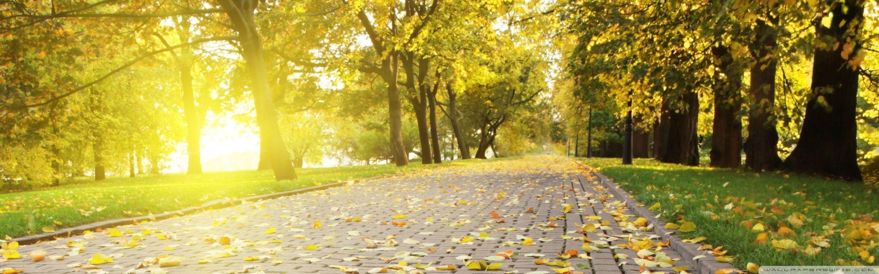 Park Wallpapers - Wallpaper Cave