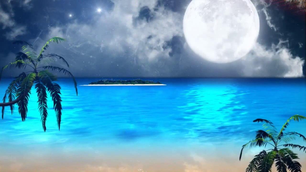 Nature Background Video HD