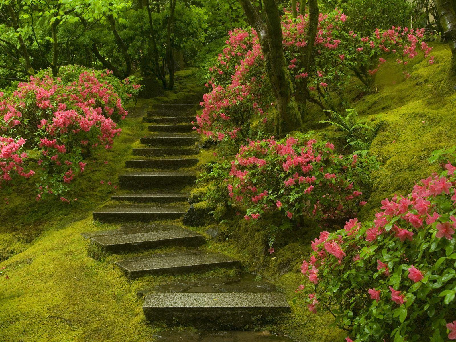 Japanese Garden Washington Park Wallpaper