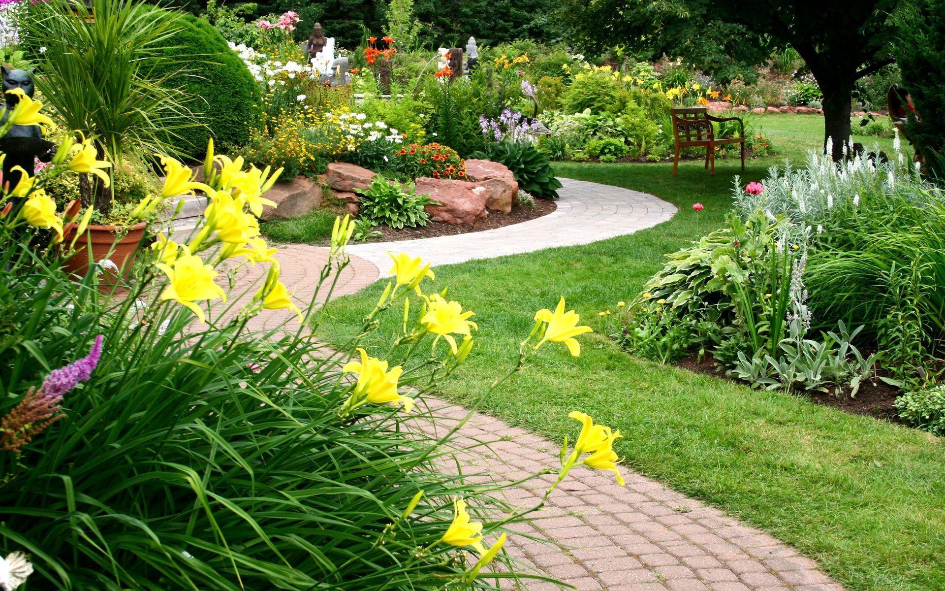 Park Full HD Wallpaper and Background Imagex1200