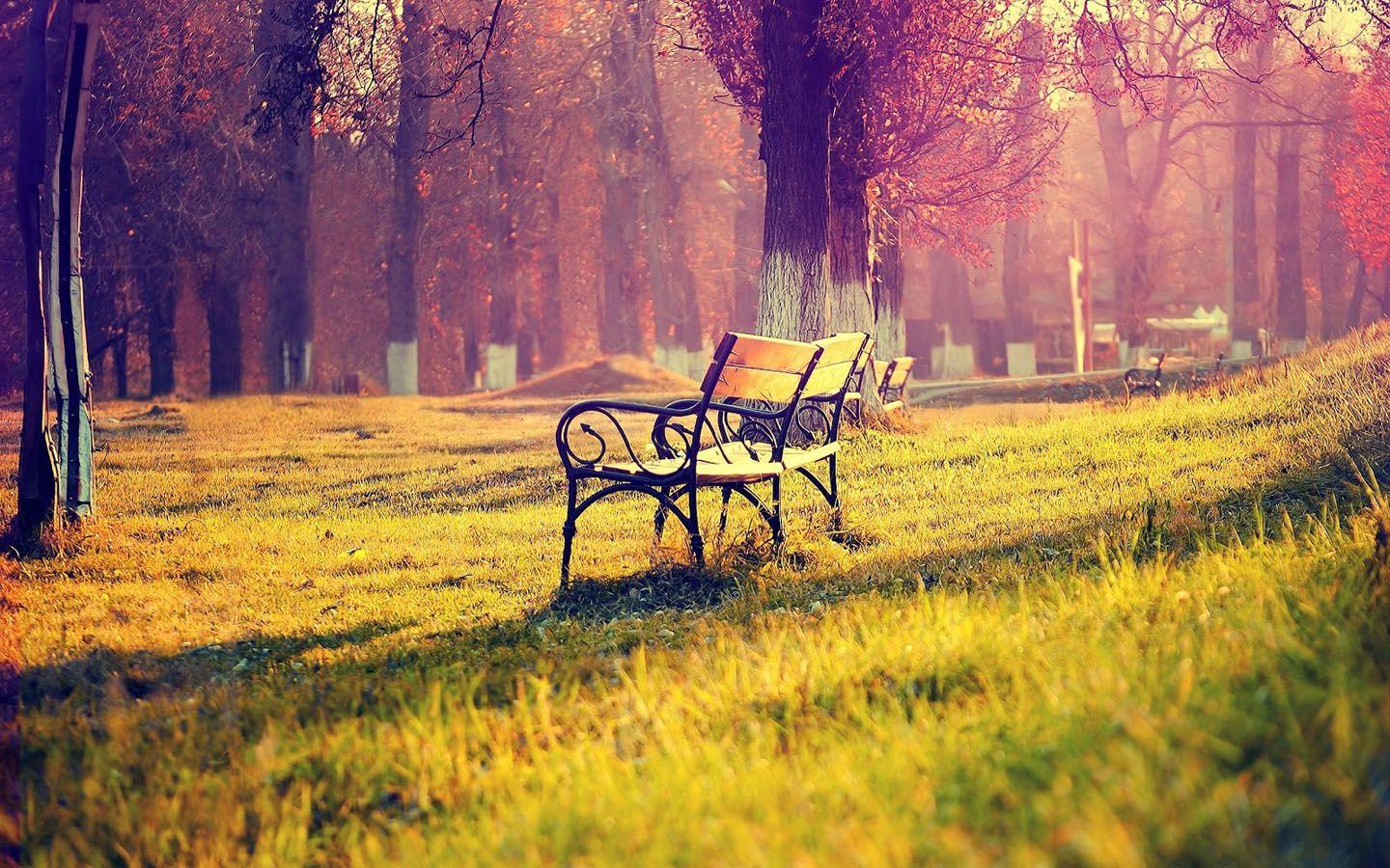 Wallpaper Of The Day: Amazing Parkx900 Amazing Park Pic