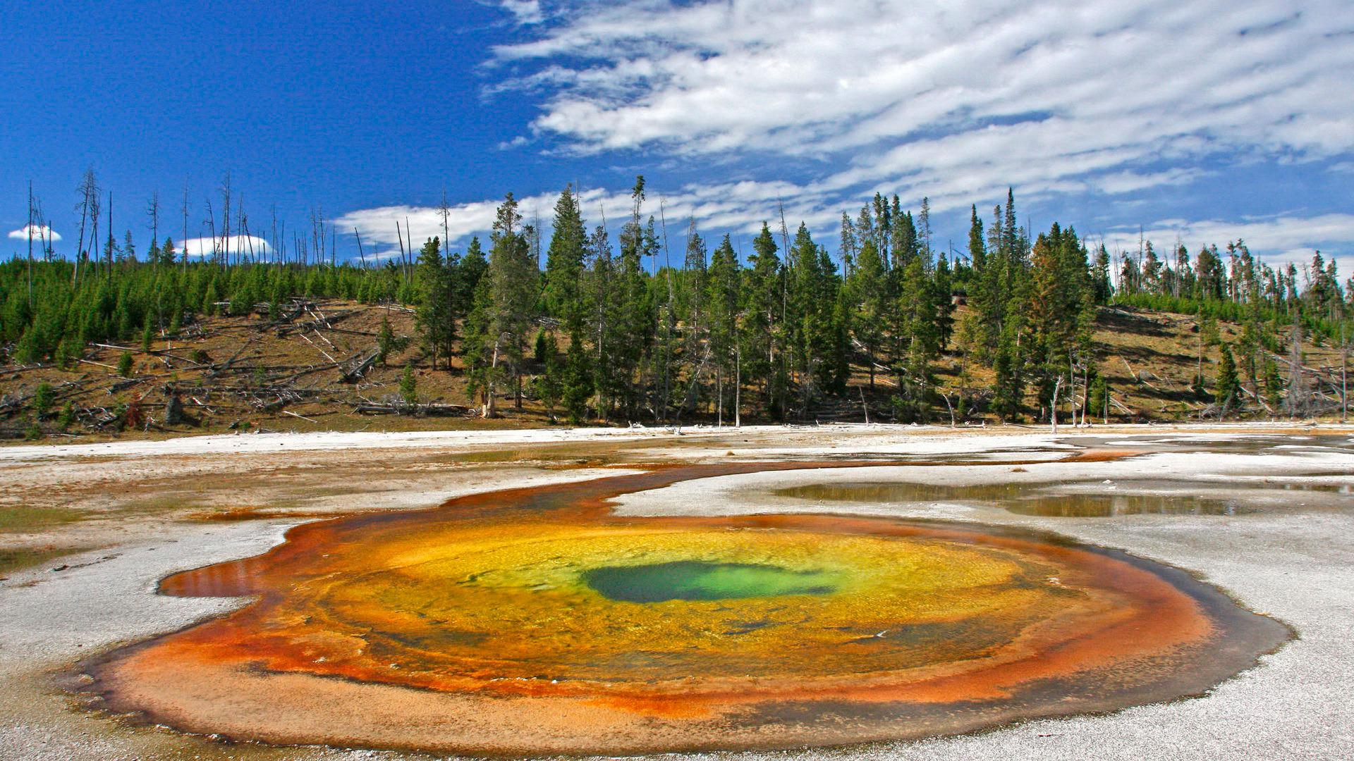 Yellowstone National Park HD wallpaper. HD Latest Wallpaper