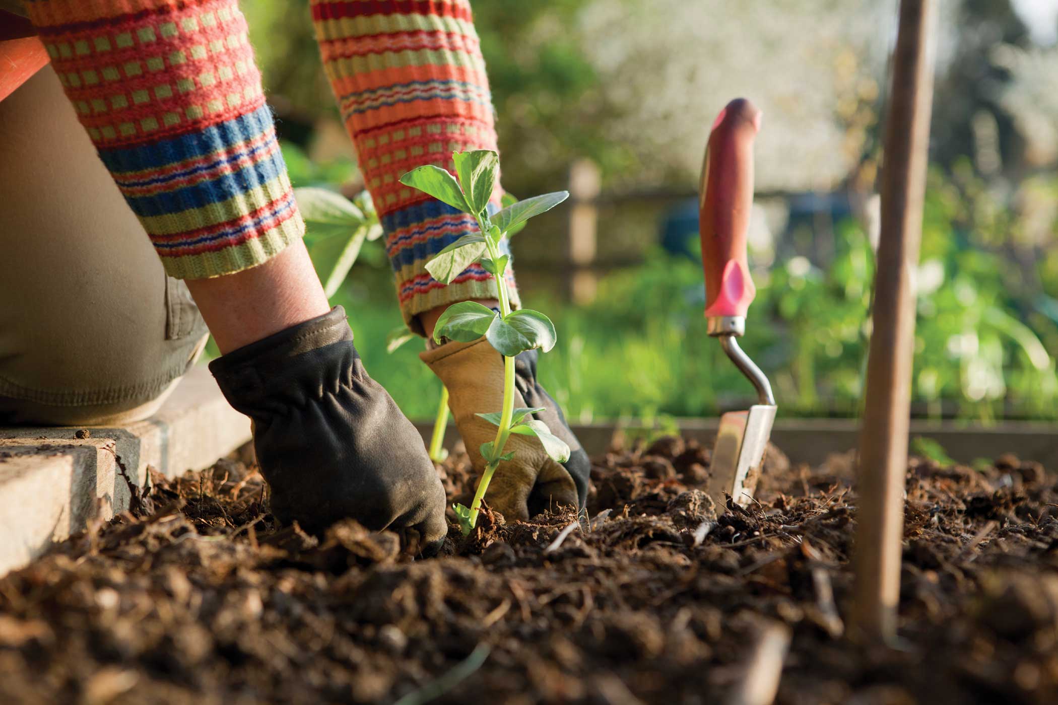 Gardening Activities Can Help you Burn More Calories Than Running