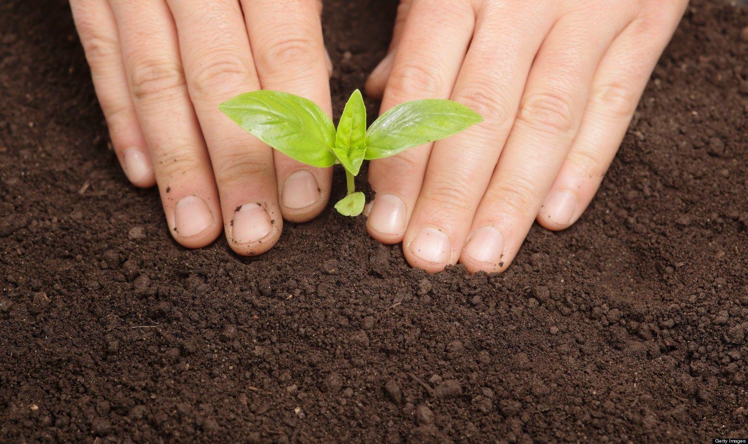 gardening wallpaper HD