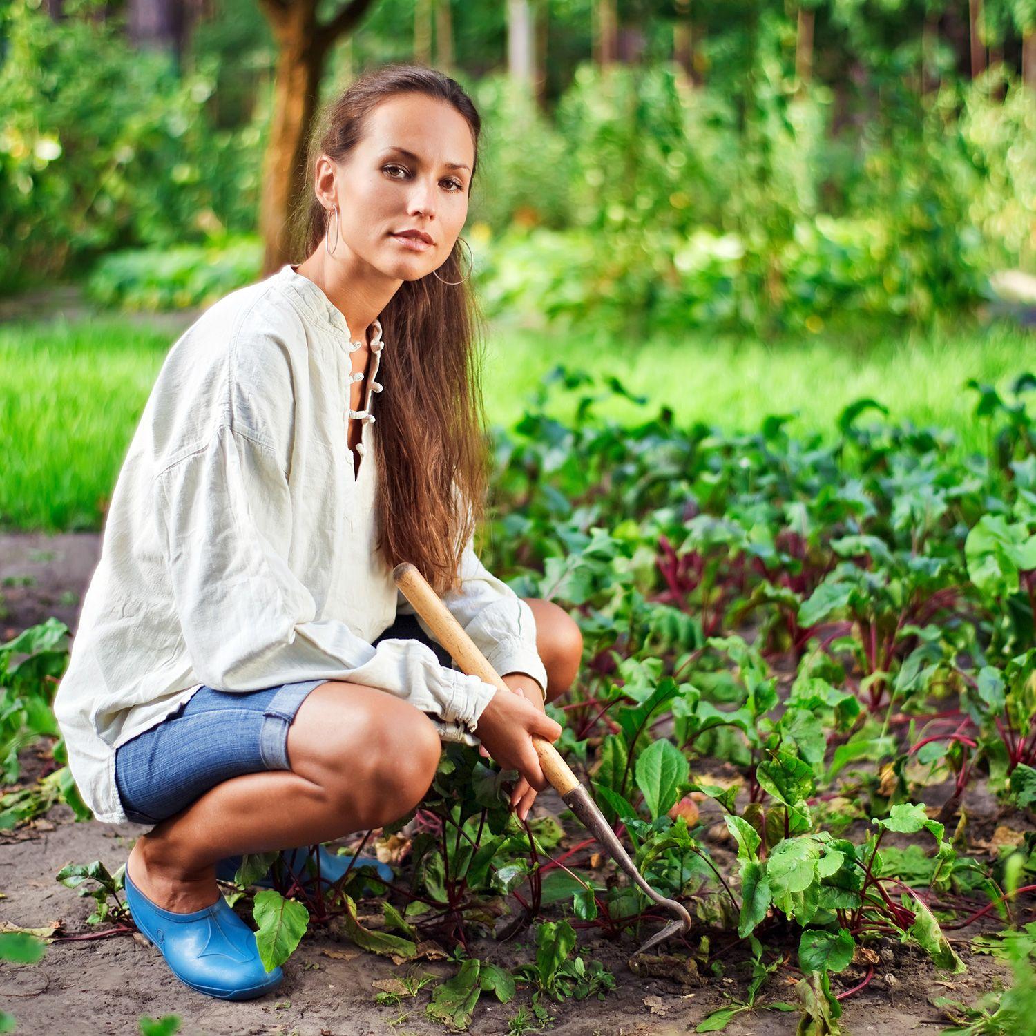 Basic Urban Gardening Tips for Beginners