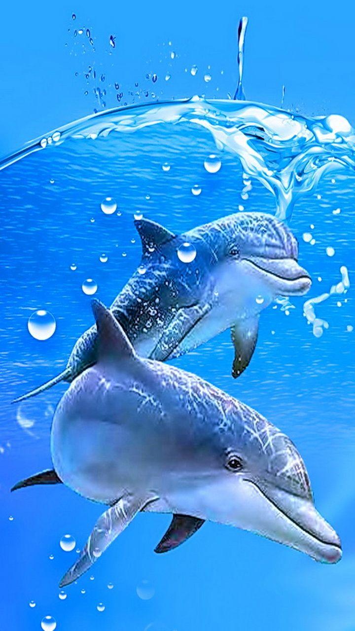 Live Wallpaper For Samsung Galaxy S3 HD Animals