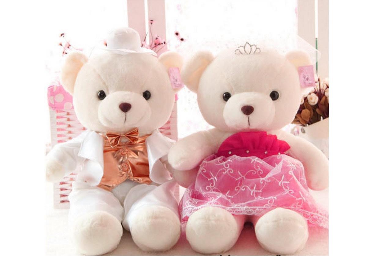Cute pair of teddy bear