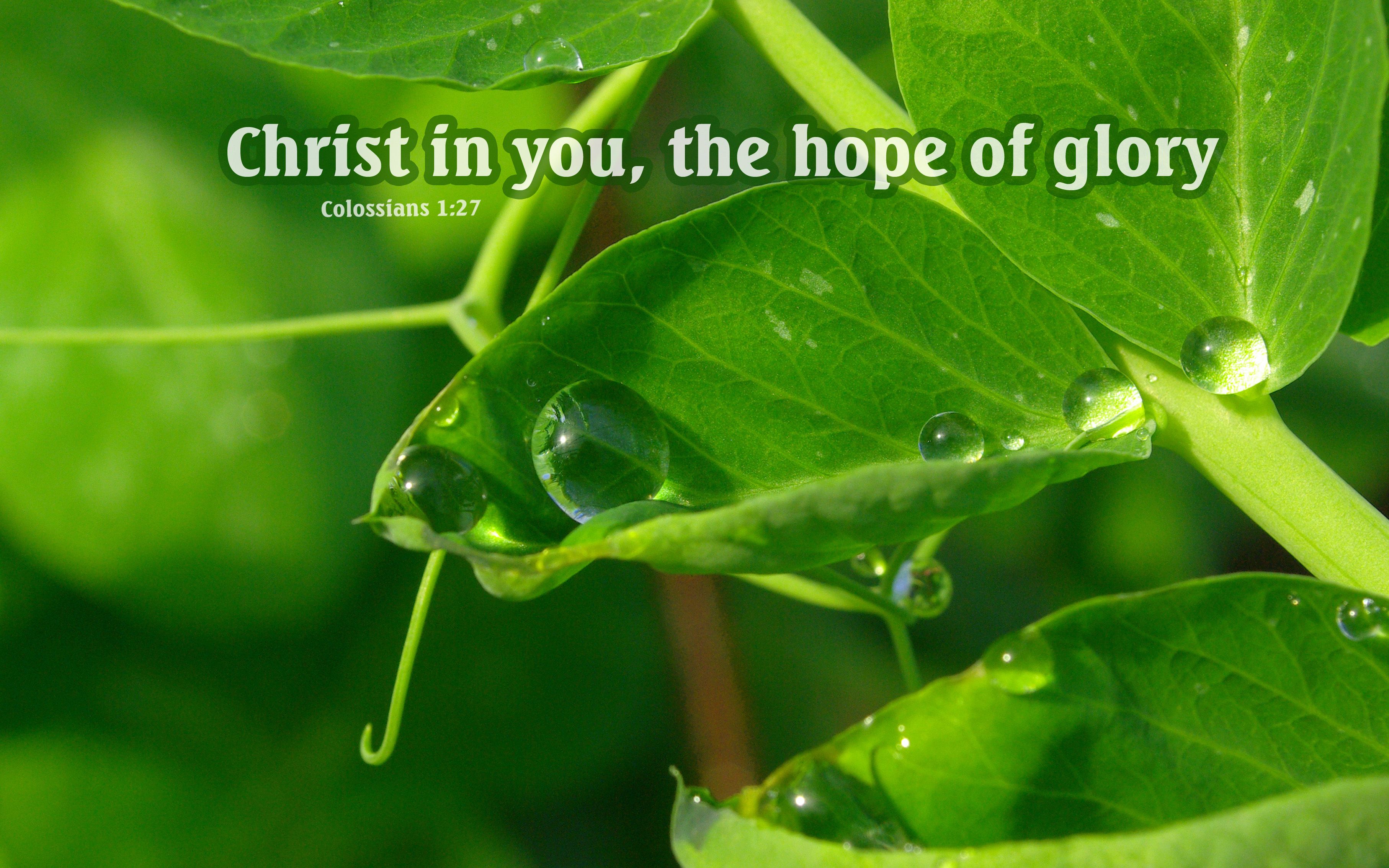 Colossians 1:27 Nature & Bible Desktop Background / Wallpaper