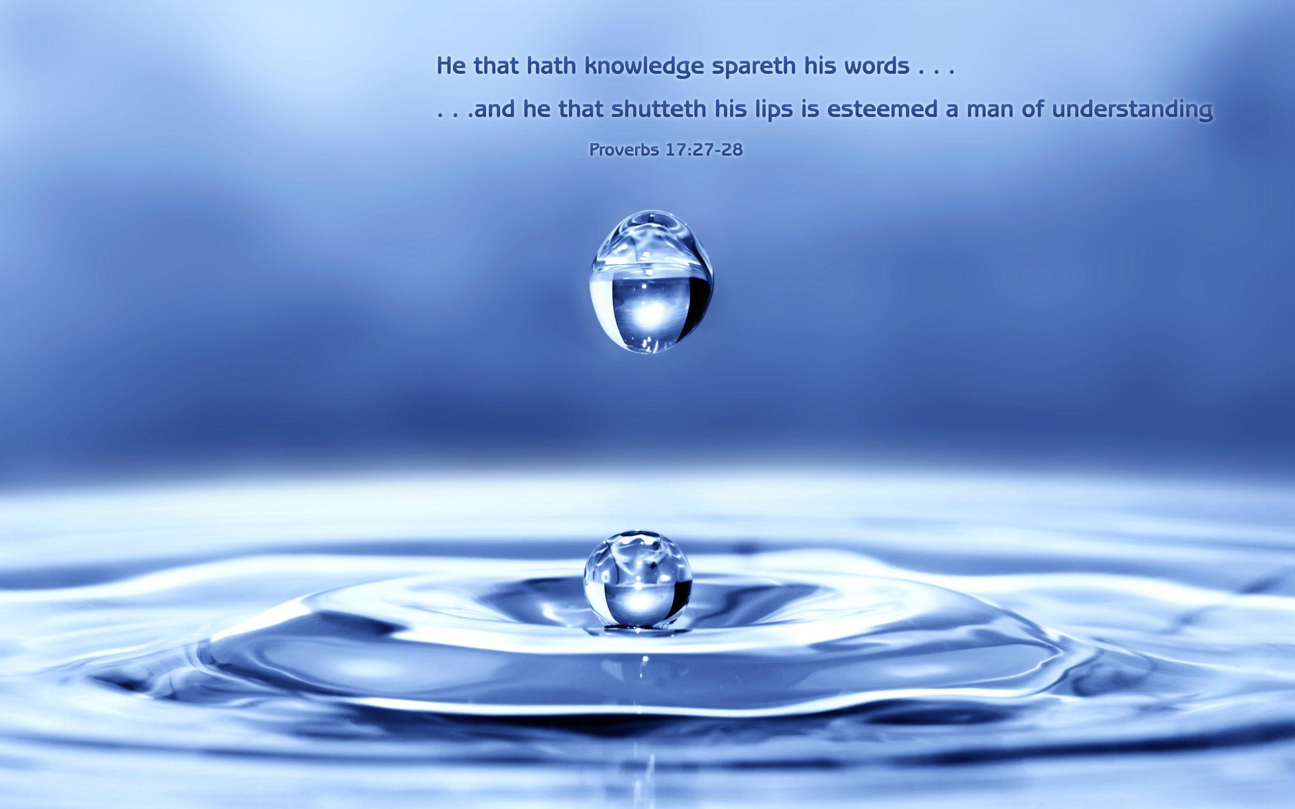 Proverbs 17:27 Nature & Bible Desktop Background / Wallpaper