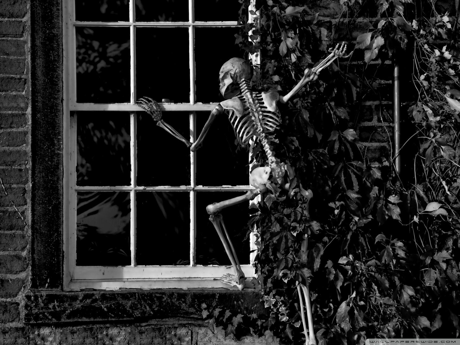 Beware Little Boys and Girls ❤ 4K HD Desktop Wallpaper for 4K Ultra