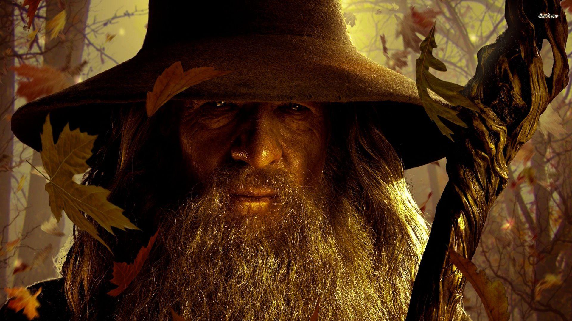 Gandalf The Lord Of The Rings 12 HD Wallpaper. Movies and TV Shows
