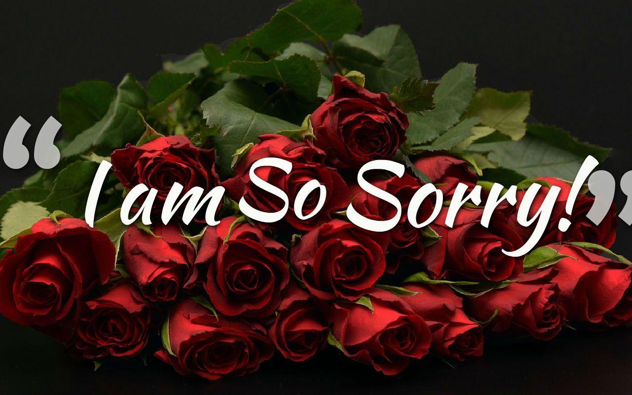 I Am Sorry: Image DP Pics and Wallpaper with Message Quotes