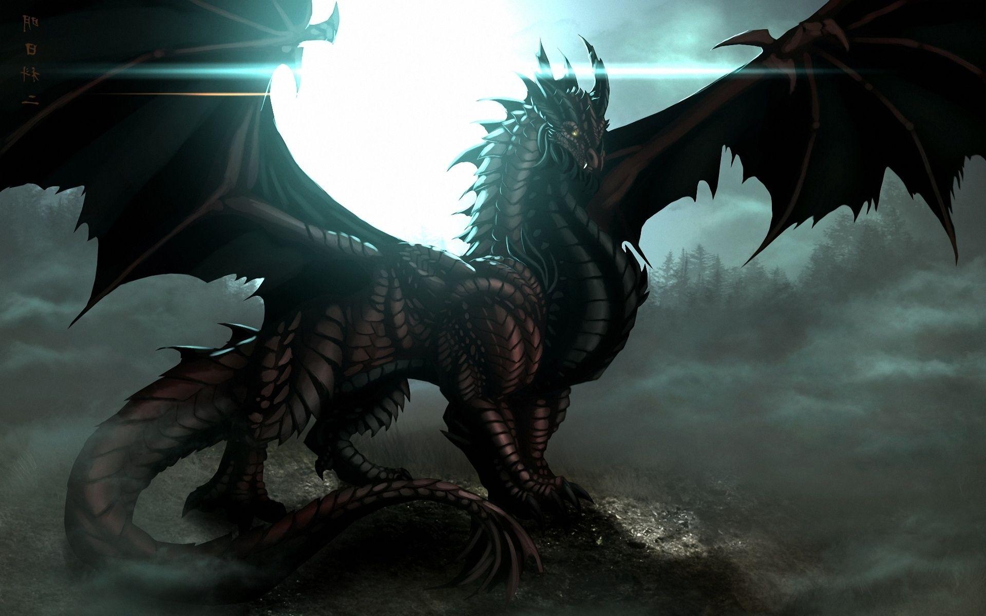 Wide HD Dragons Wallpaper. FLGX HD.33 KB