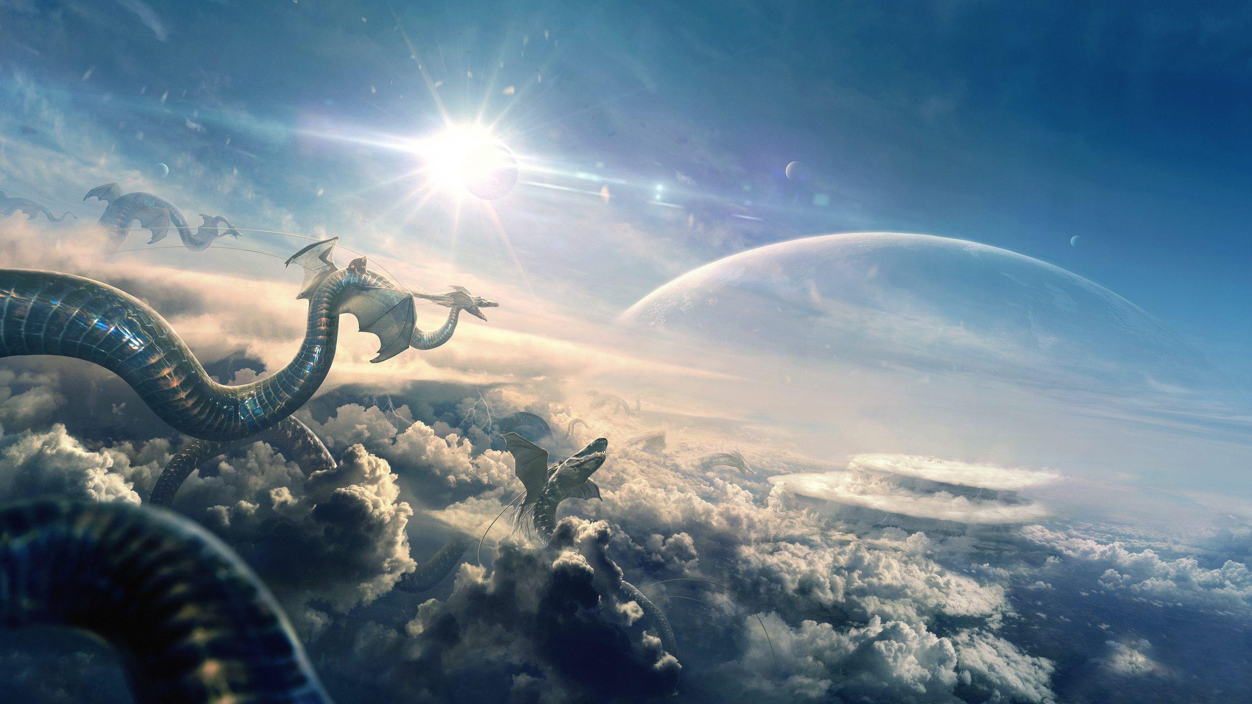 flying dragons HD wallpaper HD flying dragons HD