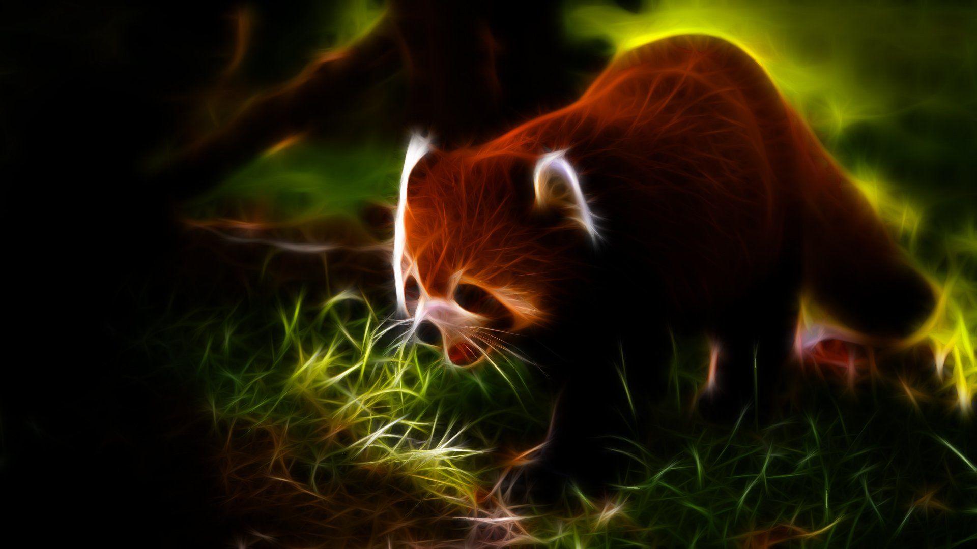 Animals Fractalius red pandas wallpaperx1080