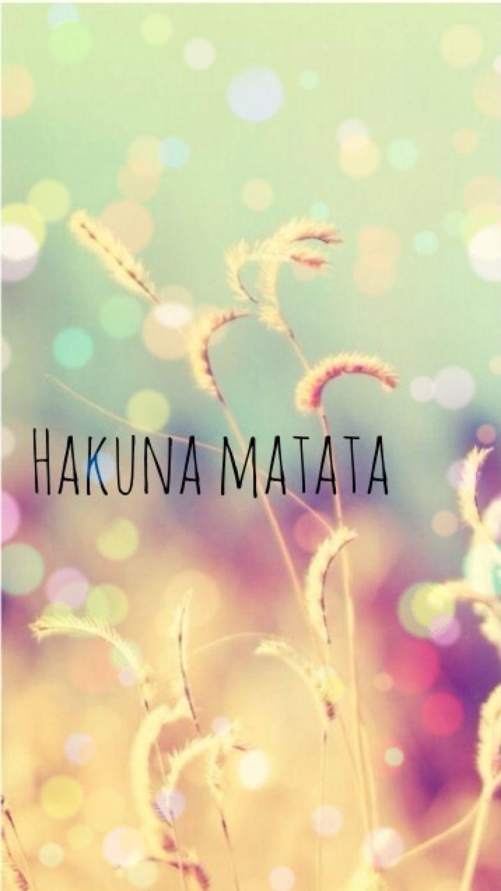 Hakuna Matata means worries for the rest of your days. Zip a dee