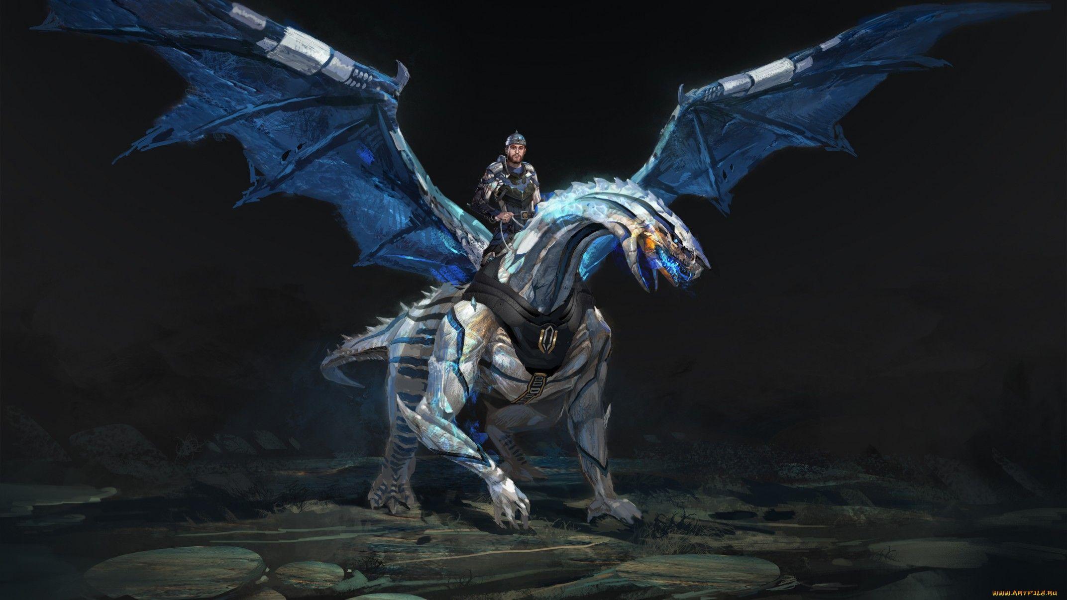 Dragon Full HD Wallpaper and Background Imagex1206