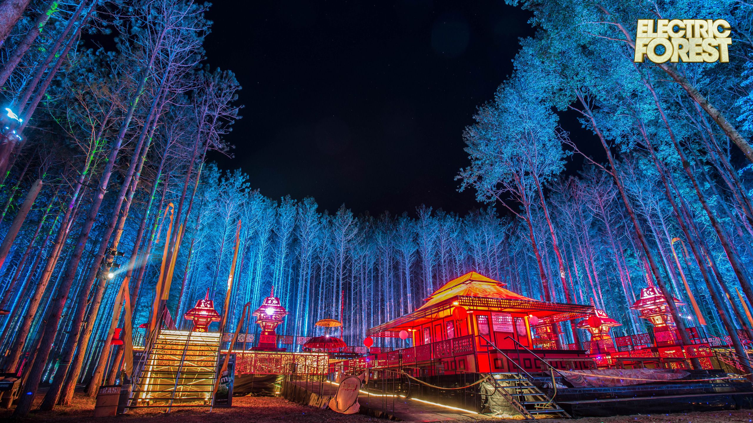 Electric Forest Wallpaper